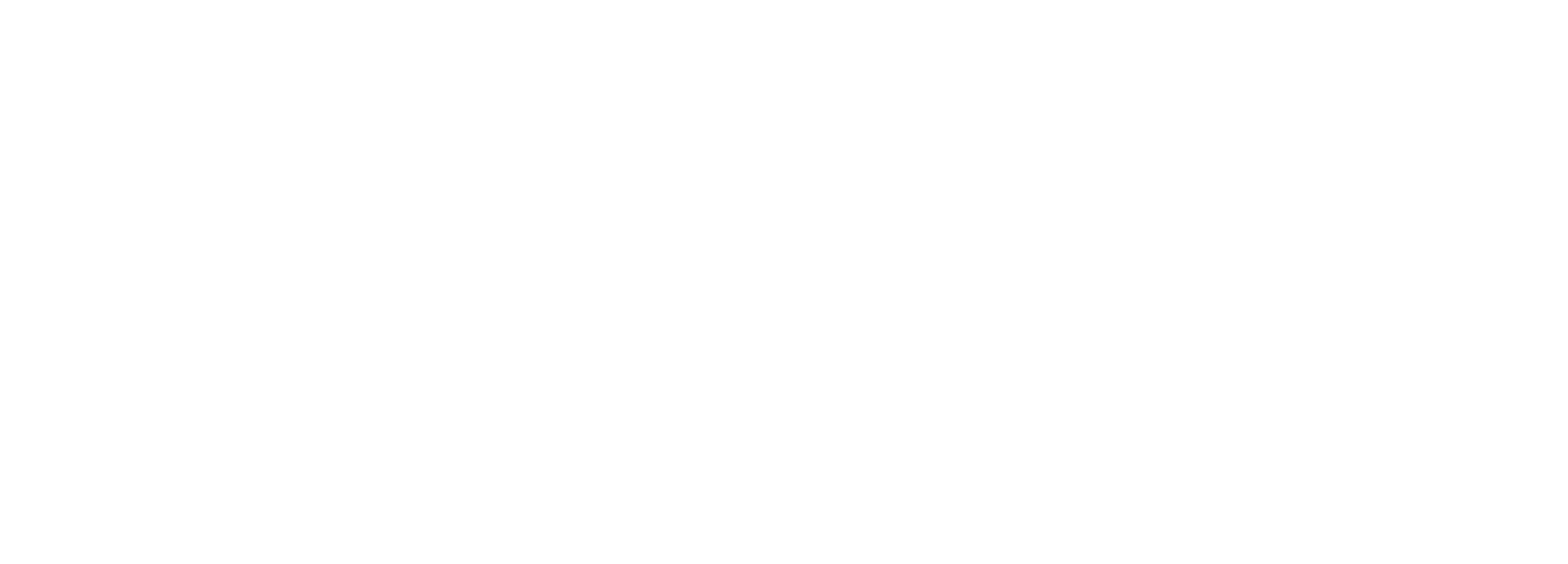 Shun Feng Express